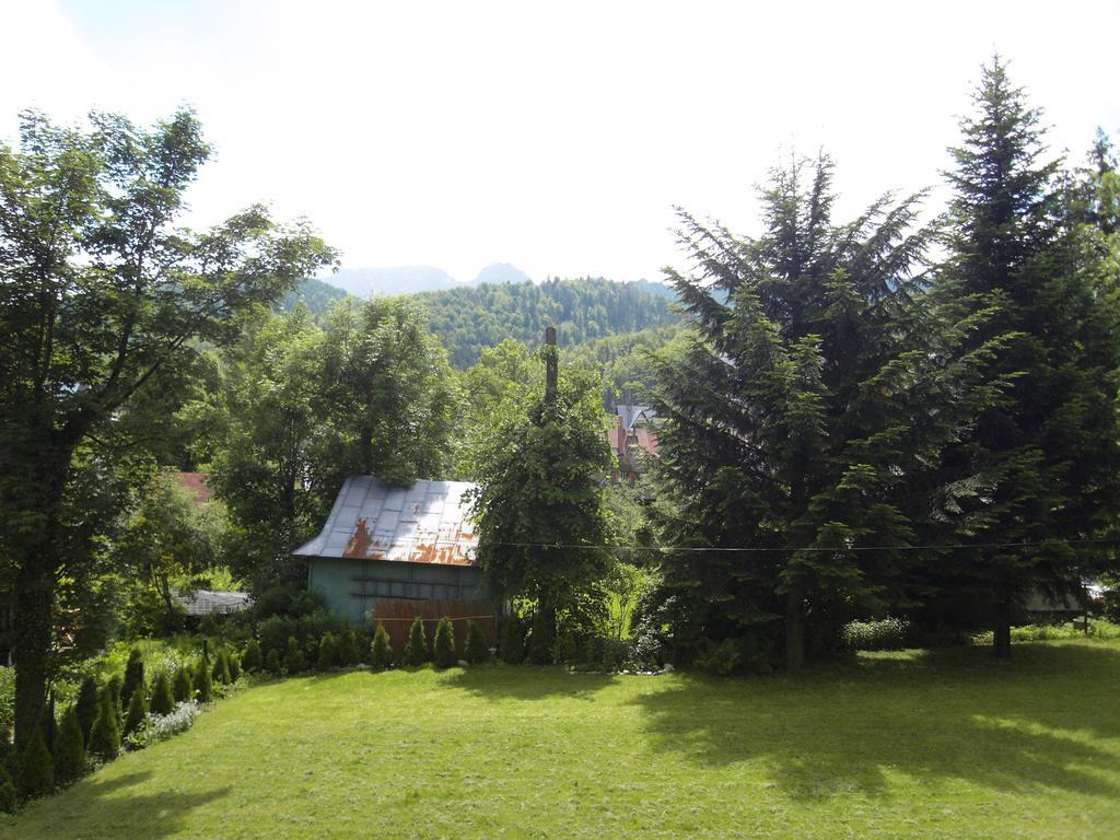 Willa Dlugoszowka Apartment Zakopane Exterior foto